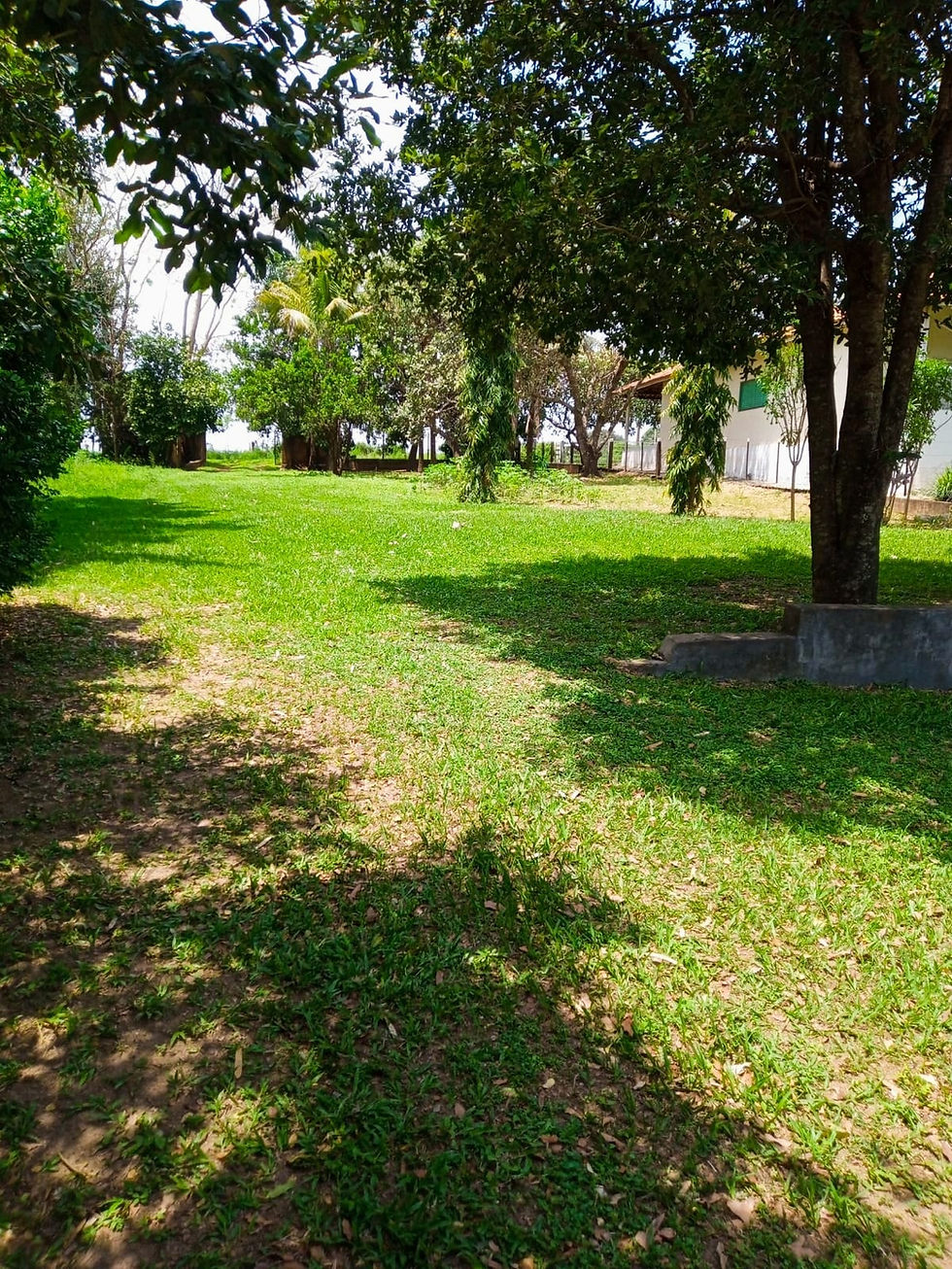 RANCHO BURITAMA