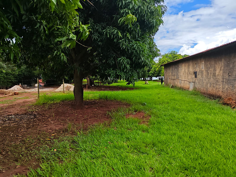 BREJO ALEGRE/SP