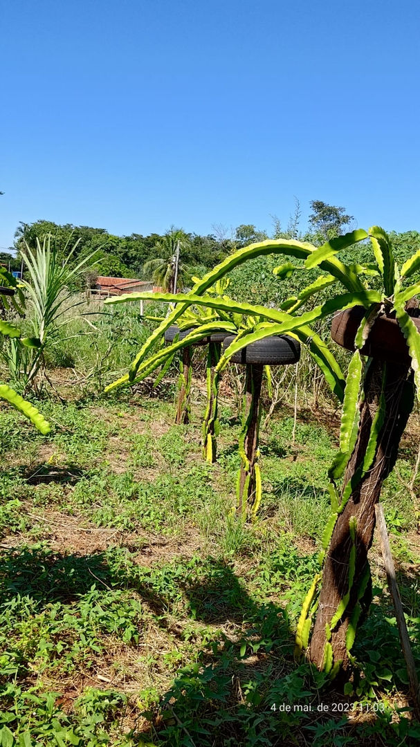VALE DO PEIXE / FRONTEIRA-MG