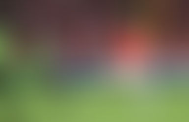 Olheiros de clube alemão vão ao Beira-Rio e acompanham Rodrigo Dourado contra o América-MG