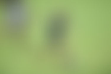 Inter encaminha empréstimo de meia Juan Alano ao Coritiba