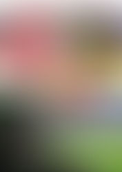 Inter x Pelotas: tudo o que você precisa saber sobre o jogo da rodada #2 do Gauchão