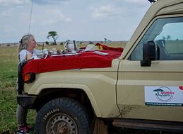 serengeti safari from zanzibar_edited.jpg