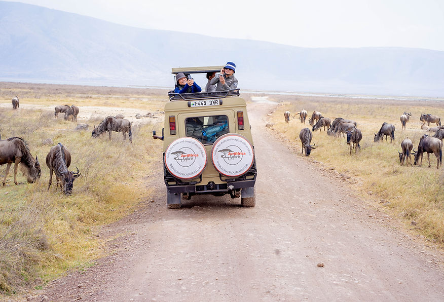 sorrounded by wildebeest in a 3 days safari from zanzibar