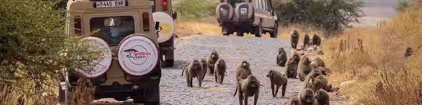 Descending in Ngorongoro Crater on a Tanzania Safari