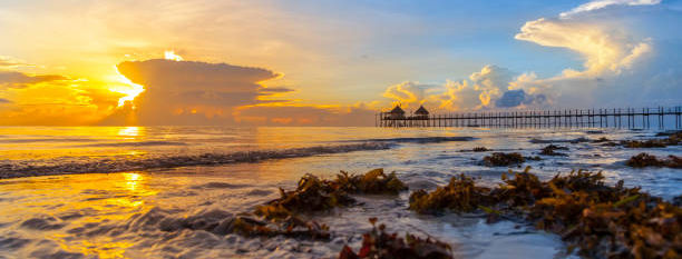 Zanzibar Coast