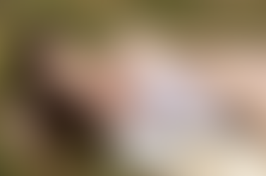 Nature Themed Boudoir Ideas to Help You Reconnect With the Natural World - St Charles Outdoor Boudoir Sessions