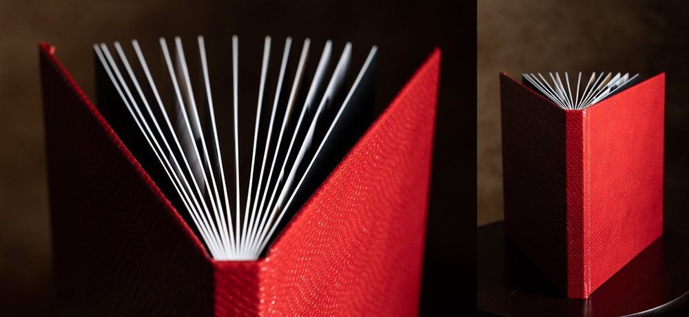 Album image with red snake cover