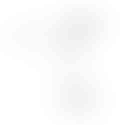 "Hummingbirds" Creature Illustration Linework