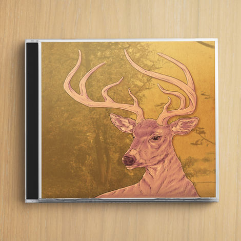 "Arrows" – Illustration & Song