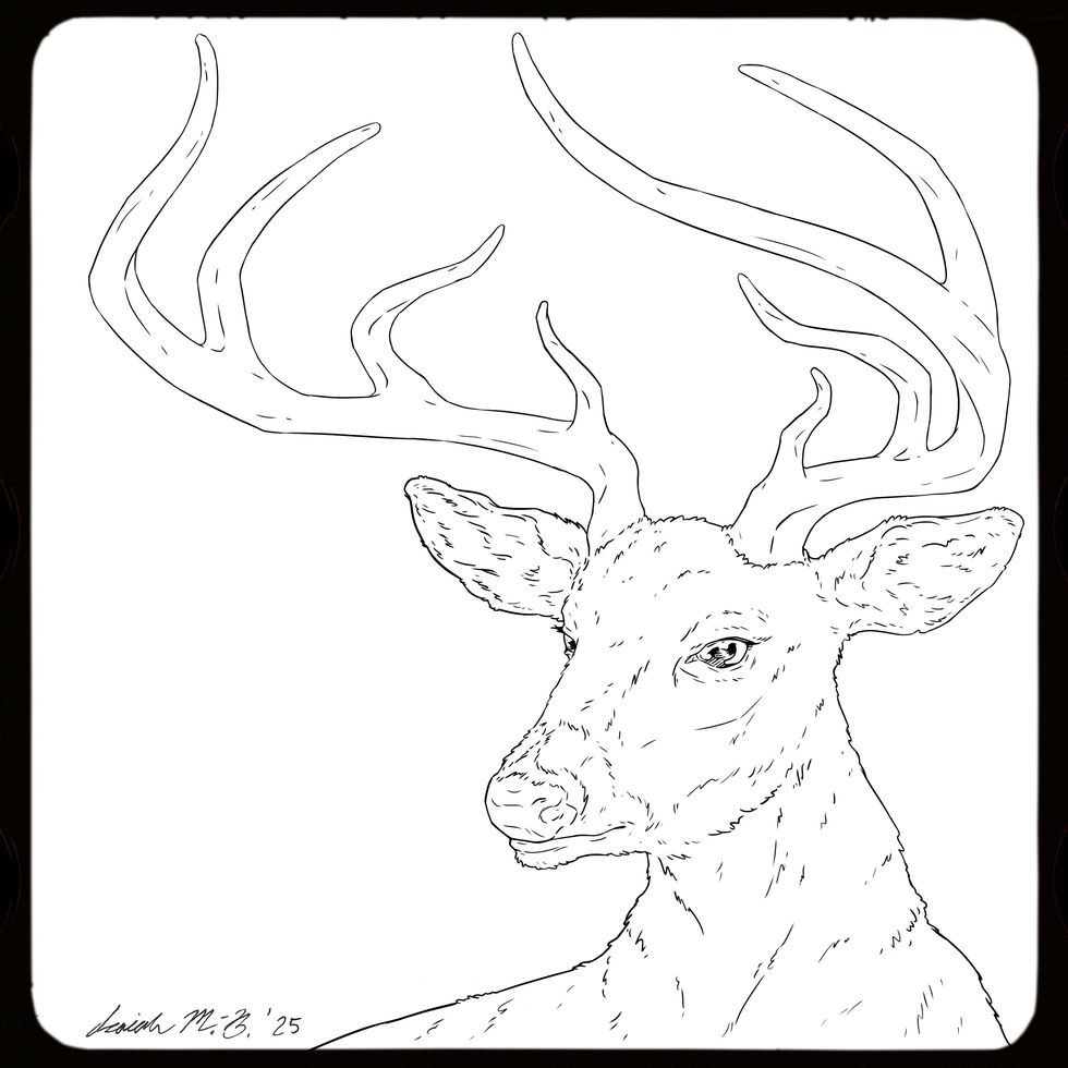 "Arrows (There The Heart Goes)" - Linework for Cover Art Illustration