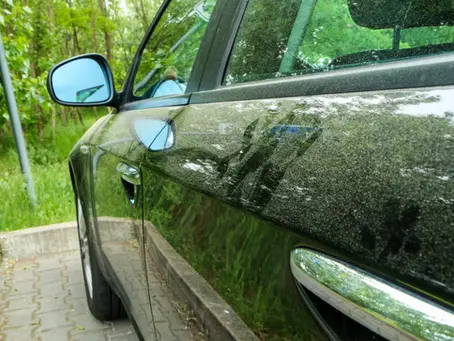 Spring Pollen Season in DFW: How to Keep Your Car Clean Without Going Crazy