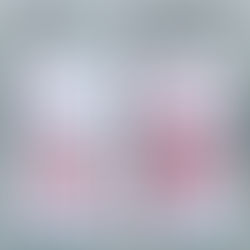 work shopの開催決定