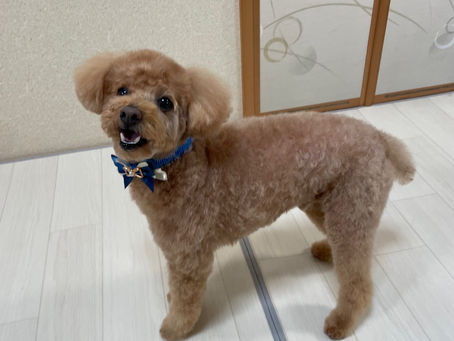当店ご利用のお友達⭐︎
