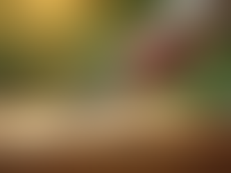 Essential Beekeeping Equipment for Every Enthusiast