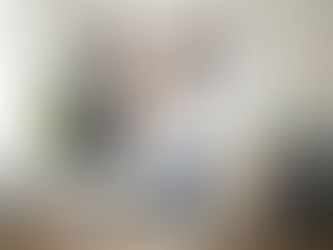 chiropractic clinic assessment