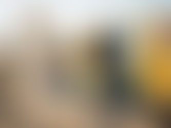 chiropractor treating tradie