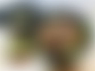 人気です！！「牛若丸ランチ　　1,380円」