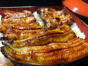 本日土用丑の日!!
