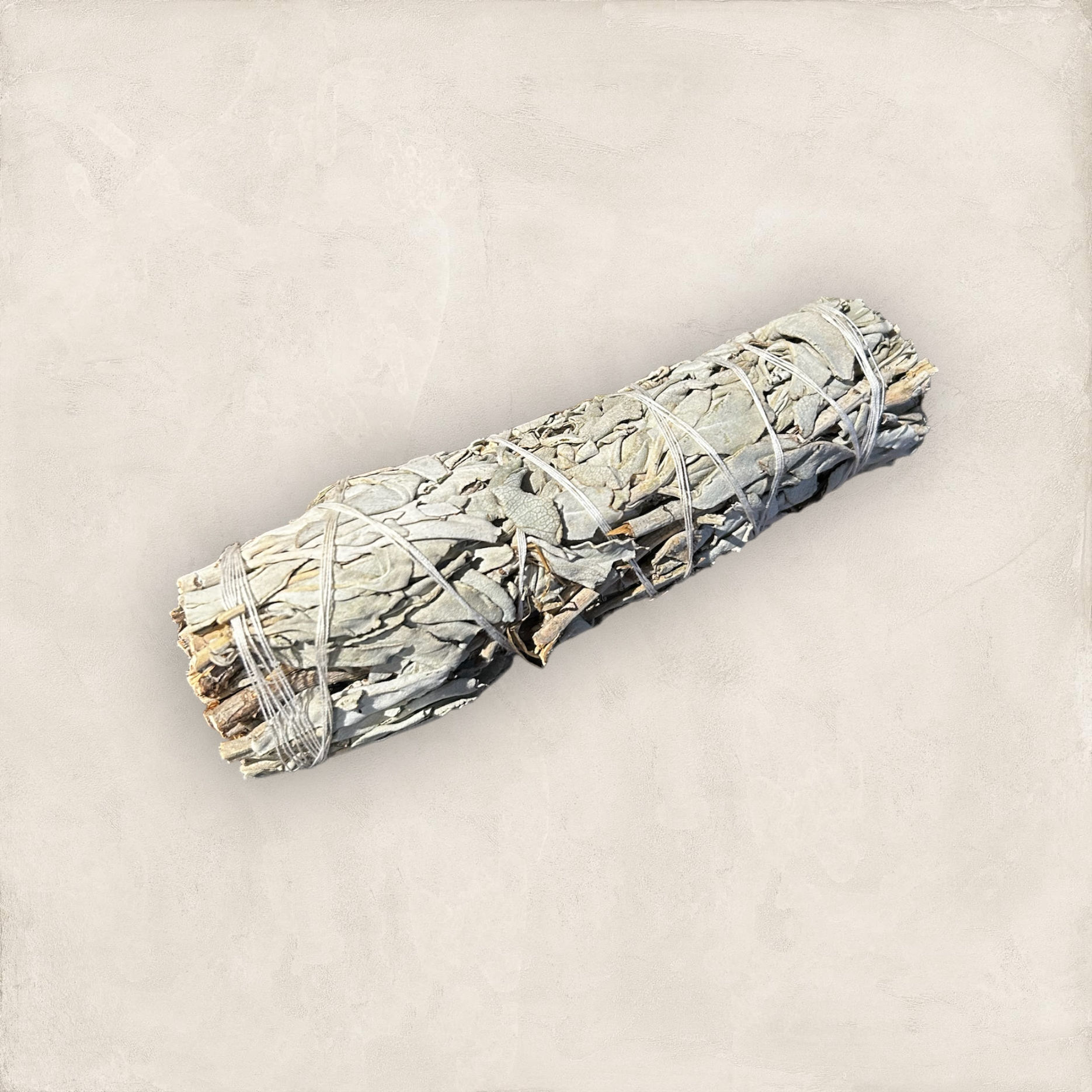 Bâton de sauge blanche moyen
