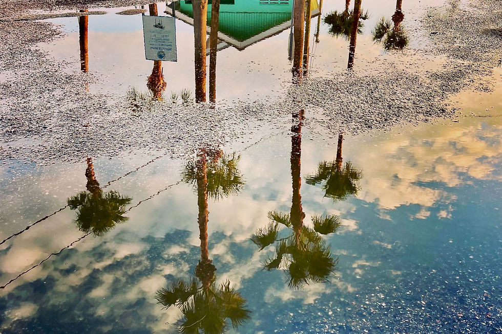 Thumbnail: Reflection of palm trees and blue sky give a vintage feel to artwork for your kitchen backsplash decor.
