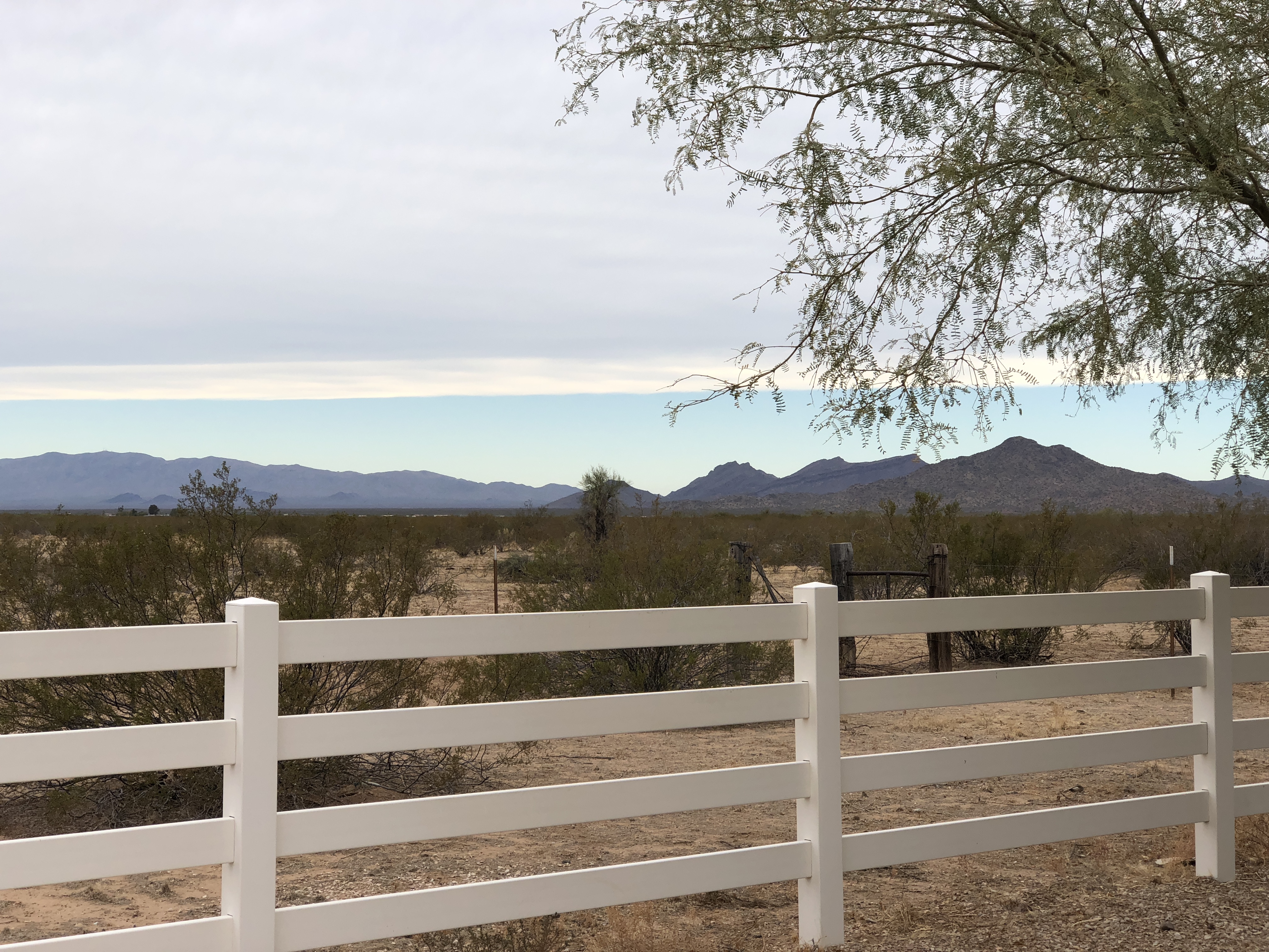 The View from The White Fence