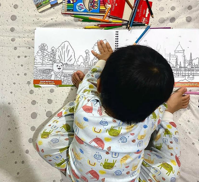 swiss coloring book