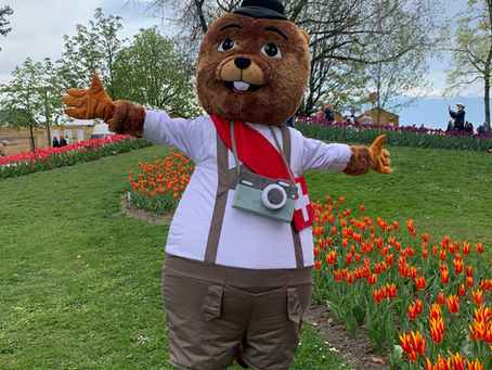 Marco's Colorful Day at the Morges Tulip Festival 2025
