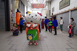 IMGP7925.JPG