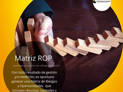 Matriz ROPE, s oportuno generar una Matriz de Riesgos y Oportunidades.