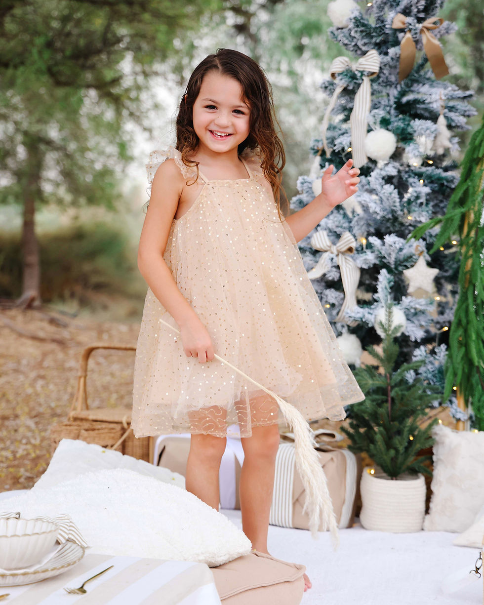 Christmas picnic setup in Dubai with elegant styling and cozy seating