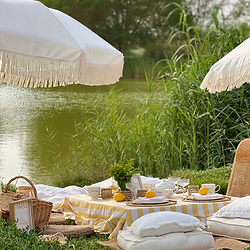 Luxury picnic Dubai at the lakes with cozy seating, refined décor, and seasonal delicacies, perfect for couples or small gatherings seeking an intimate escape.