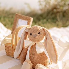 maternity picnic details by picnic times