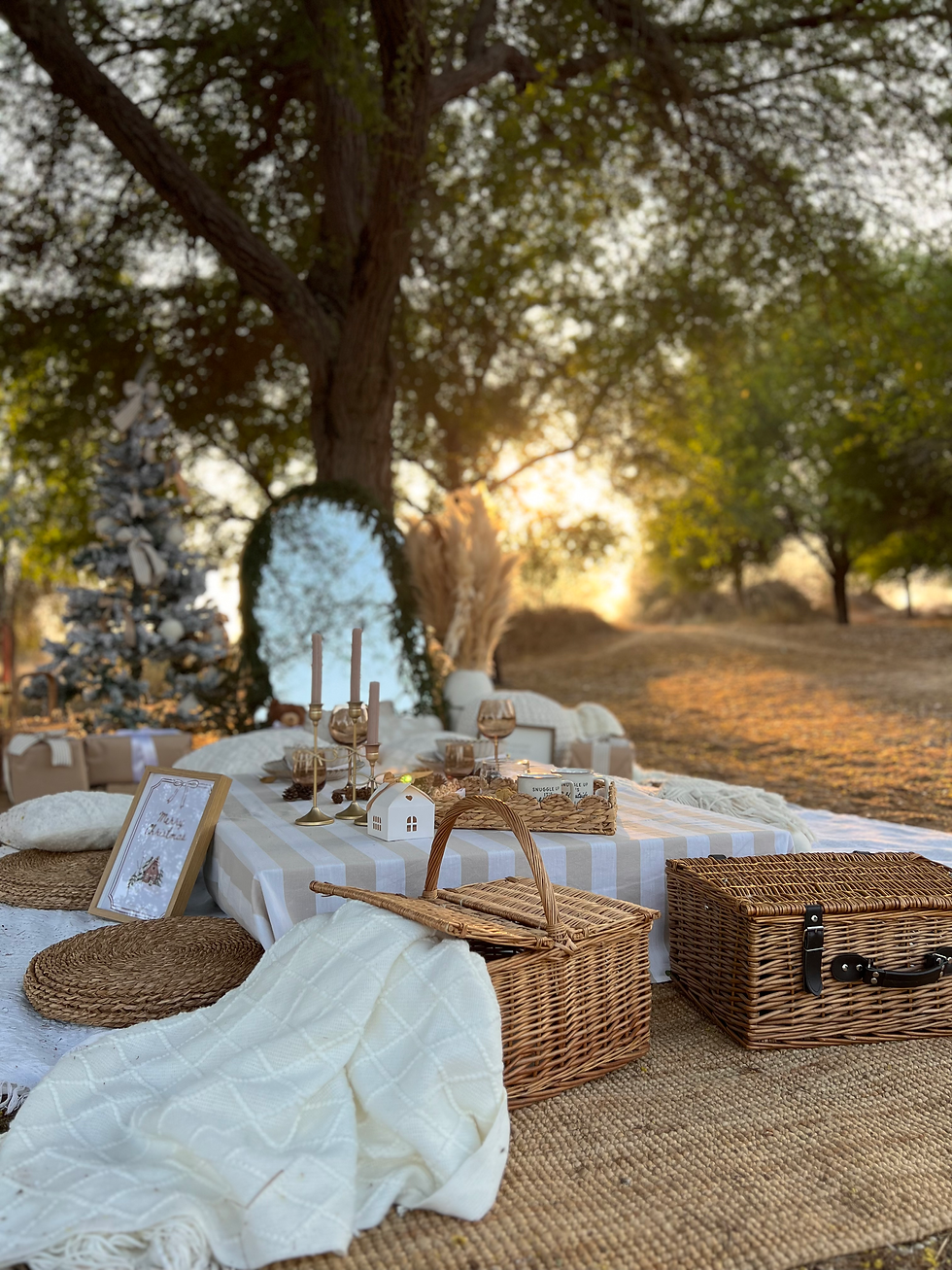 Luxury Christmas picnic setup in Dubai by Picnic Times with elegant table styling and festive accents