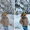 Thumbnail: Before-and-after comparison of a girl's photo, showcasing the transformation achieved with Winter Glow Mobile Presets. The 'before' image presents original, cooler tones, while the 'after' reveals warm, inviting hues and enhanced brightness, demonstrating the presets' ability to create a cozy, winter wonderland effect