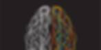 Graphic drawing of a brain with white lines on one side and colored lines on the other