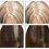 Thumbnail: Colour Wow Root Touch-up
