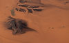 leguidesafari-kenya-rift-valley-60.jpg