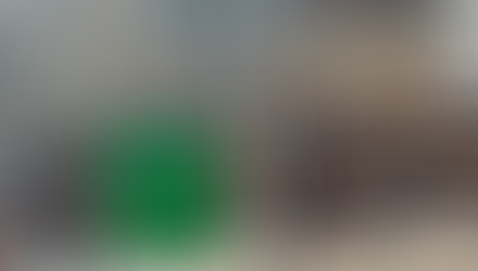 Gutting the Revolution: Krapitalism is Trying to Kill the Redstone Labor Temple