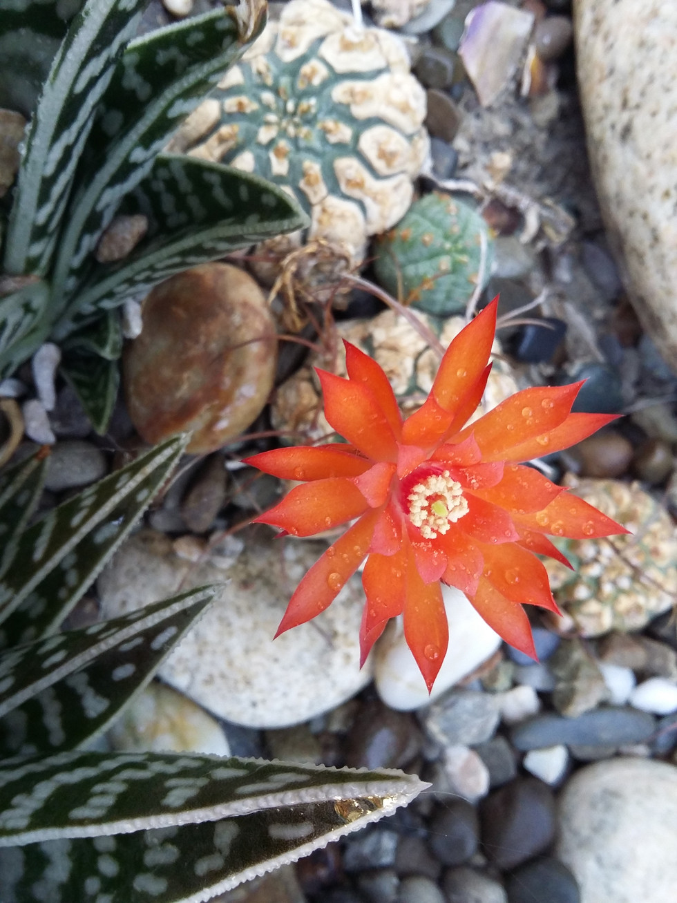 20160222_104319.jpg