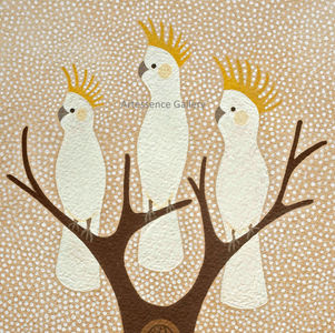 Curious Cockies Cheryl Davison Artist Indigenous art Australia Pambula Artessence Gallery