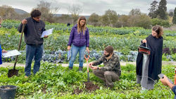 בדיקות בריאות קרקע