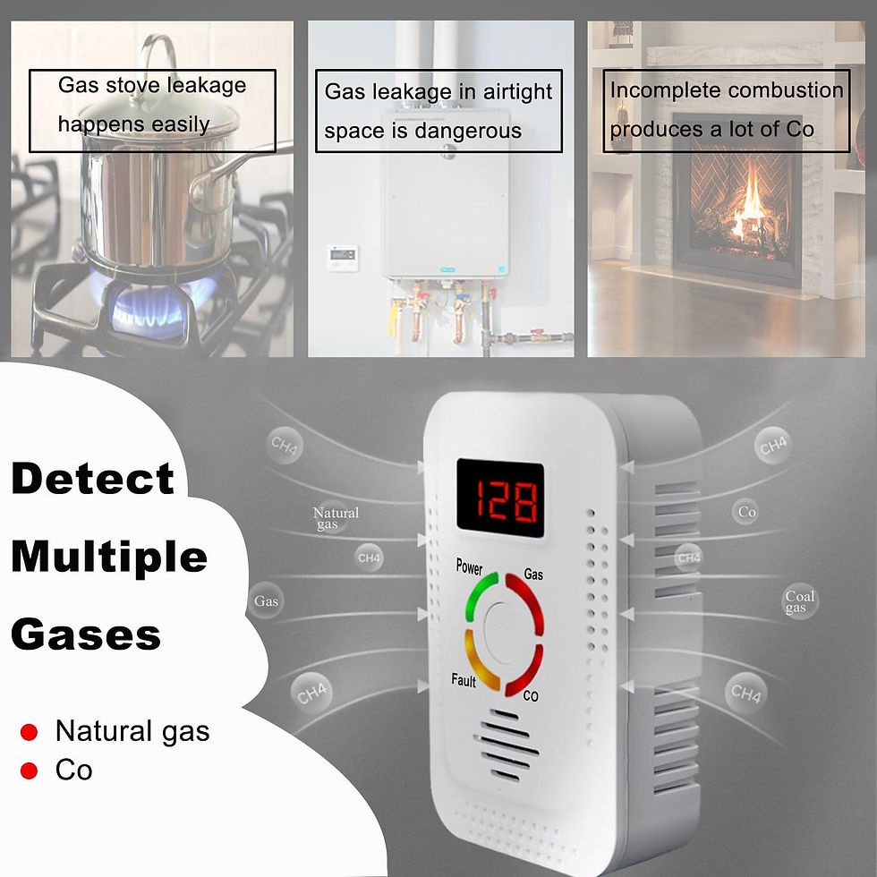 Miniatura: Natural Gas Detector 2in1 And Carbon Monoxide CO Detector, Combustible Gas Leak 