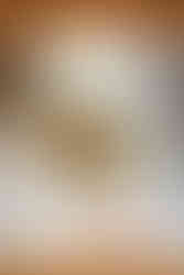 Detail photo of wedding dress, bouquet and shoes at The Ashes Barns wedding venue Stoke-on-Trent