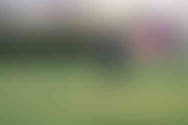 candid garden games photos ashton lodge country house wedding photography