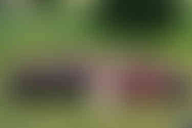 group photo of all guests at ashton lodge country house wedding photography