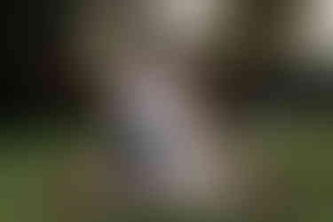 bride and groom happy and relaxed sunset photos at ashton lodge country house wedding photography