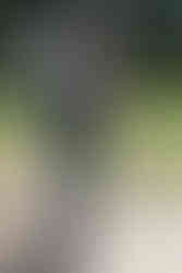 ashton lodge country house wedding photography