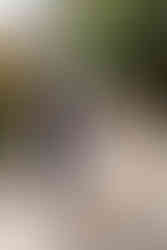 bride and groom relaxed, fun, romantic couple's photos ashton lodge country house wedding photography