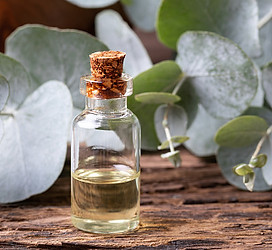 euc essential oil.jpg